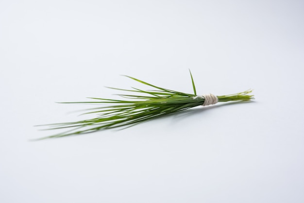 Дурва - это зеленая трава с тремя листьями, представляющая доспехи Тришула, предложенная лорду Ганеше.