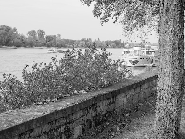 dusseldorf and the rhine river