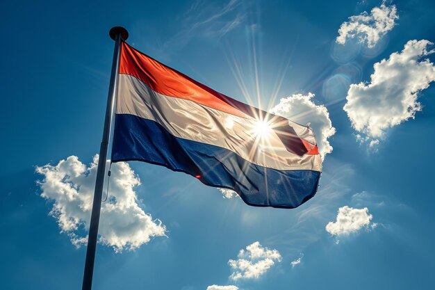 Dutch flag in the wind