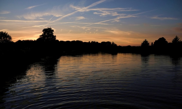 オランダの自然水の木の夕日