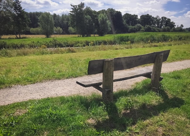 Photo dutch nature