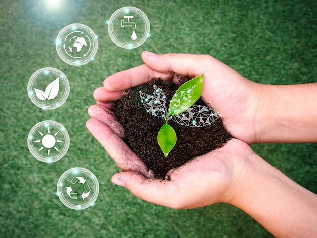 Duurzaam milieubehoud concept. Vrouw houdt aarde en groen blad in de hand met eco-pictogram