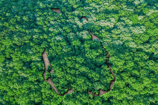 Duurzame habitatkaart van cocos-eilanden, milieuconcept