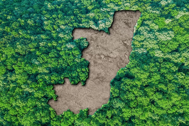 Duurzame habitatkaart van Congo, milieuconcept