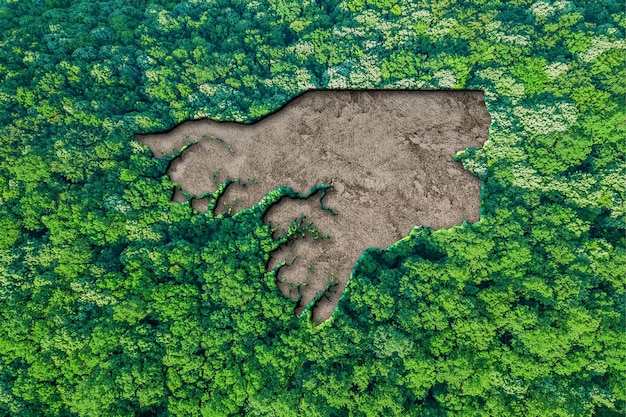 Duurzame habitatkaart van Guinee-Bissau, Milieuconcept