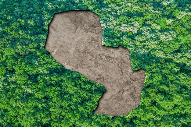 Duurzame habitatkaart van paraguay, milieuconcept