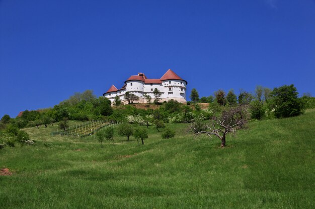 Dvor Veliki Tabor is the castle in Croatia