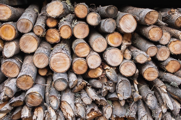 Dwarsdoorsnede van het hout, de achtergrond van de brandhoutstapel.