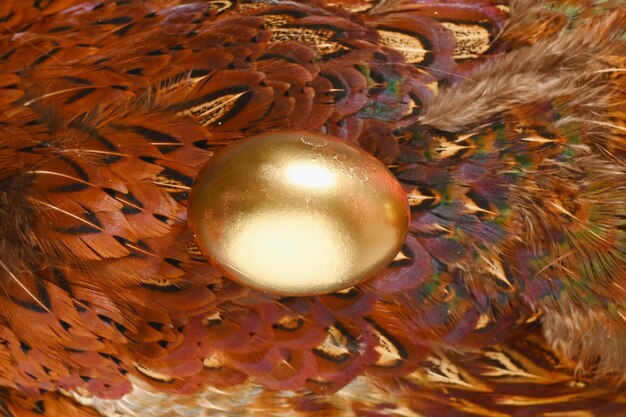 Dyed gold egg on pheasant feathers background Boho stile Decorated Eggs For Easter Alternative decoration