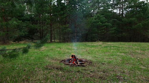 A dying bonfire with white smoke in a clearing in the forest.