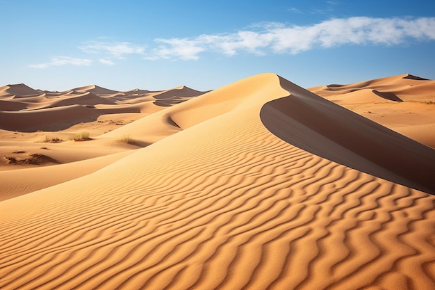 Dynamic sand dunes shaped by the wind