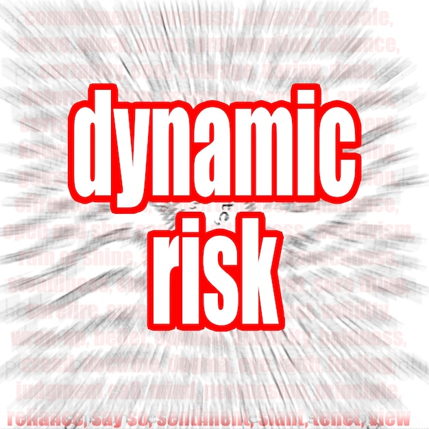 Dynamisch risico