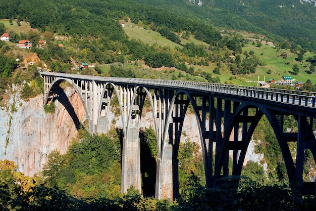 Dzhurdzhevich Bridge in the canyon of the river Tara Durmitor national park Montenegro