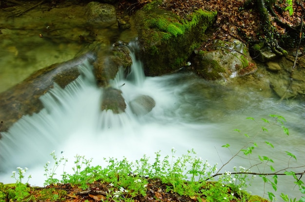 Photo the dzhurdzhur waterfall flows after heavy rain in the mountain range of the crimean peninsula the peninsula was annexed to the russian federation ukraine