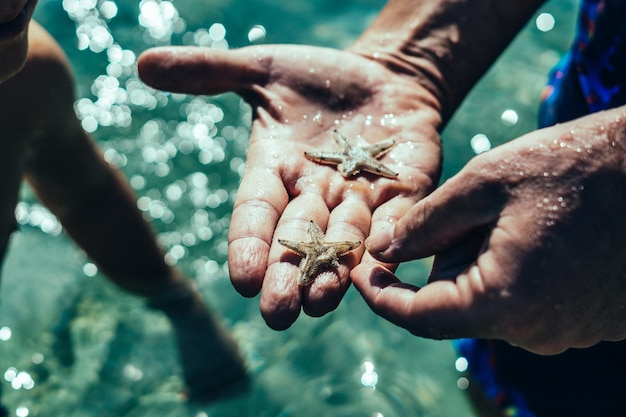 E Close up lifestyle summer day clear blue water patch reflect light Young man hold touch show finger starfish on palm Leisure activity education sea tourism child father care about nature world