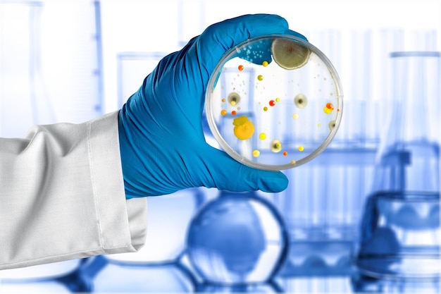 E. coli grew in (differential medium) MacConkey agar