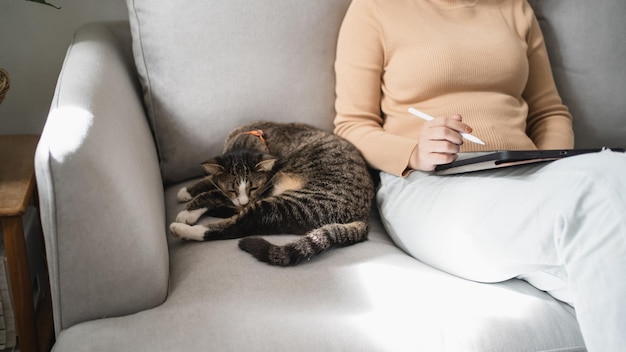 Eラーニング学生女の子オンラインVDO通話会議猫と一緒に自宅でリモートワークトークチャットをラップトップでオンラインで行うウェブカメラ会議タブレットで作業する社会的距離の概念