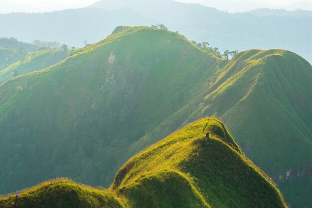 E-tongpilokkhao chang phueak канчананбури Таиланд