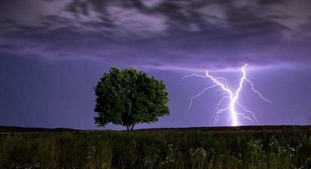 Each bolt of lightning momentarily reveals the tree's shape and surroundings