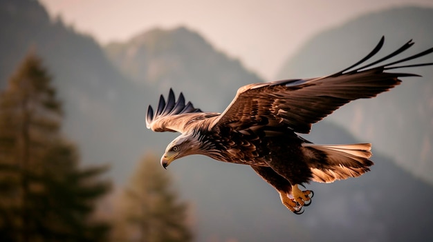 Photo eagle falcon in flight generative ai