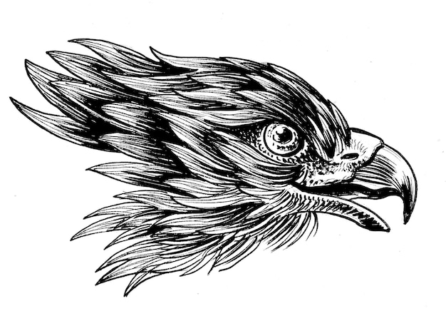 Foto eagle hoofd inkt zwart-wit tekening