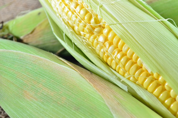 An ear of corn on gunny
