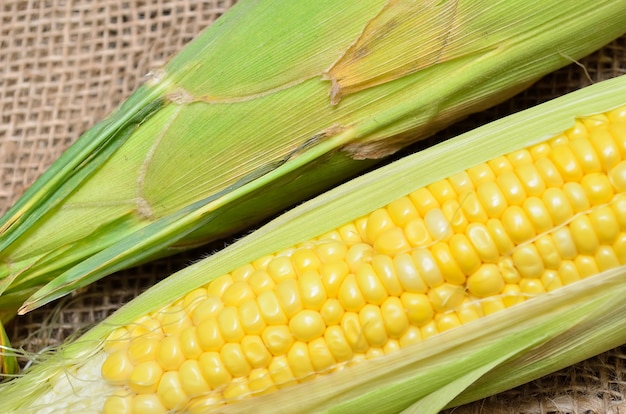 An ear of corn on gunny