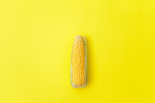 Ear of corn isolated on a yellow background