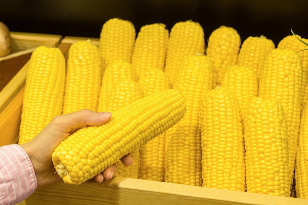 The ear of corn. 
