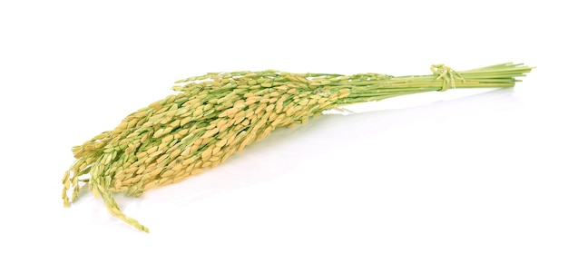 Ear of rice on white background