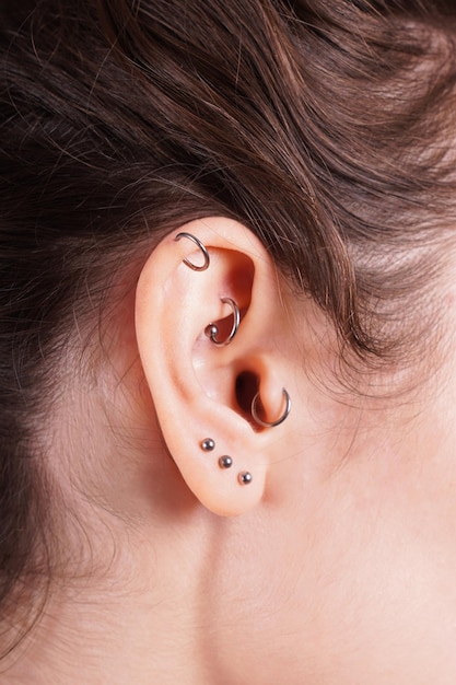 Ear with earrings including helix rook tragus and lobe piercings