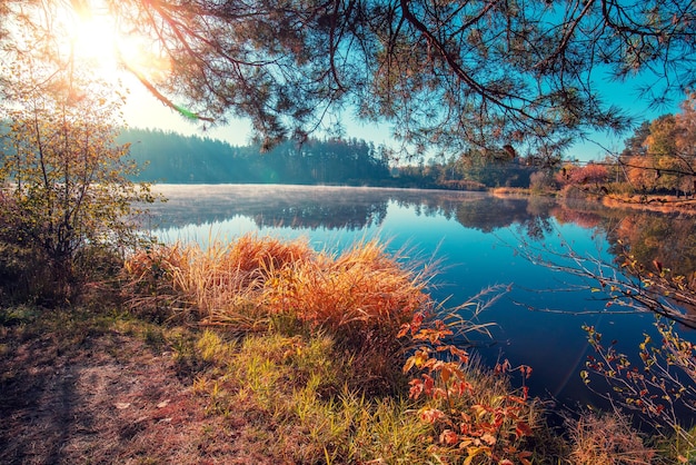 Early misty morning Sunrise over the lake in autumn