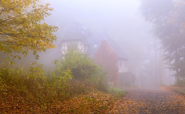 early morning in autumn city park