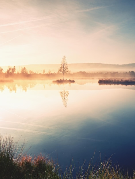 Foto prima mattina autunno al lago di montagna in un'atmosfera da sogno albero sull'isola in mezzo