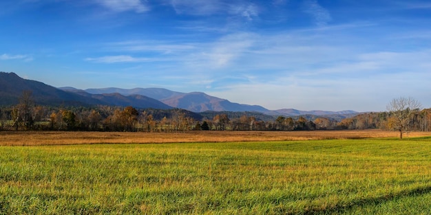 Раннее утро в Cades Cove в Теннесси