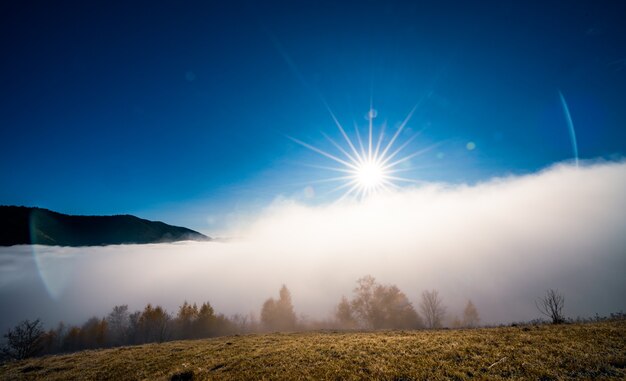 早朝と明るい太陽の下で霧に覆われた凍った草