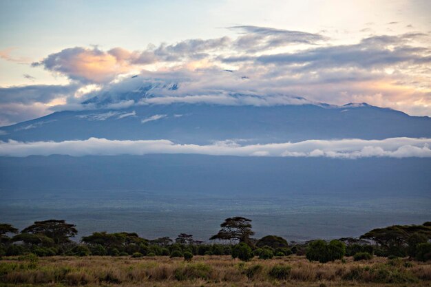 Раннее утро Килиманджаро Вид на горы Национальный парк Амбосели Восход солнца в Национальном парке Амбосели