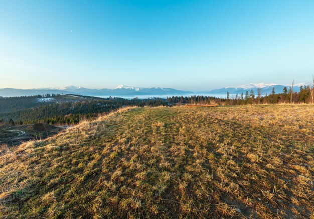 Early morning spring Carpathian mountains