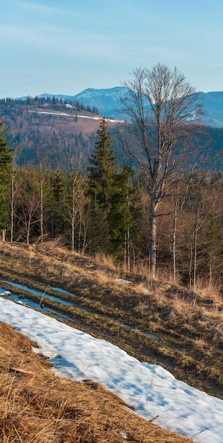 Рано утром весенние Карпаты