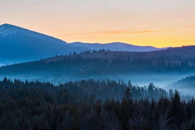 Early morning spring Carpathian mountains