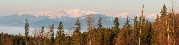 Early morning spring Carpathian mountains