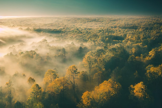 Early morning sunrise foggy forest treetops standing out of fog autumn fall foggy fall sunrise drone shot