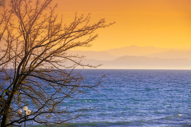 Early morning sunrise over the lake Garda lake Lago di Garda Italy Europe