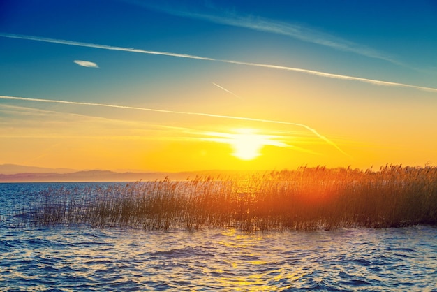 Early morning sunrise over the lake Reeds by the lake Lake Garda Lago di Garda Italy Europe