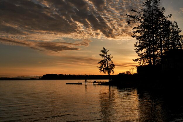 Photo early morning sunrise at the ocean with silhouette of trees a wharf and a distant island