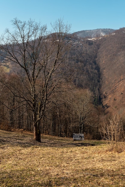 Early spring Carpathian mountains