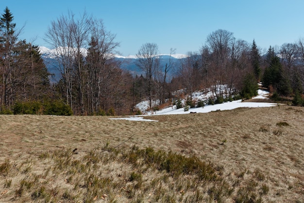 Early spring Carpathian mountains