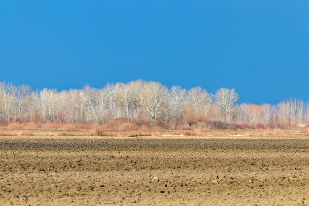 Early spring countryside landscape early spring