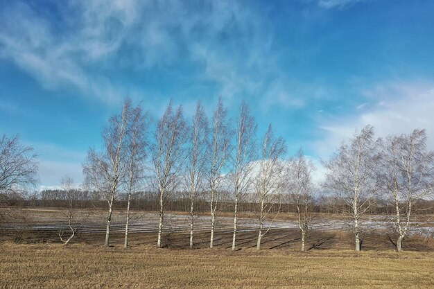 early spring field top view drone, abstract landscape flight