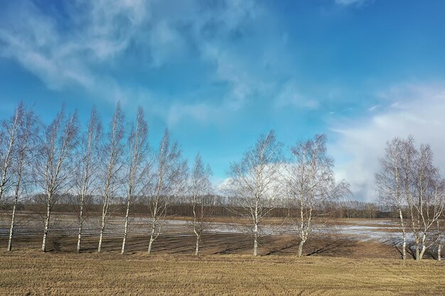 early spring field top view drone, abstract landscape flight